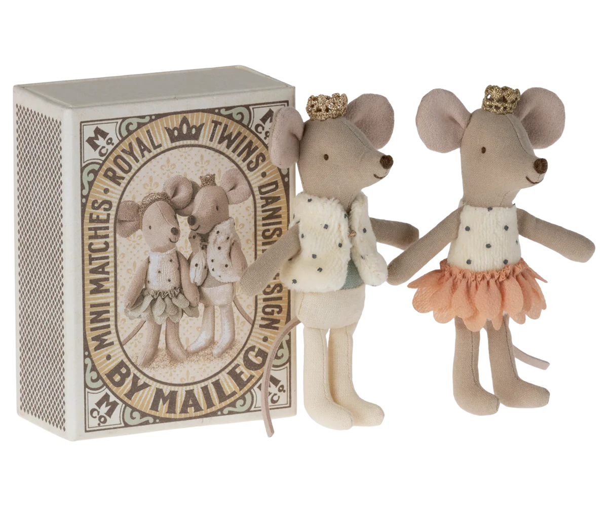 Royal twins mice, Little sister and brother in box