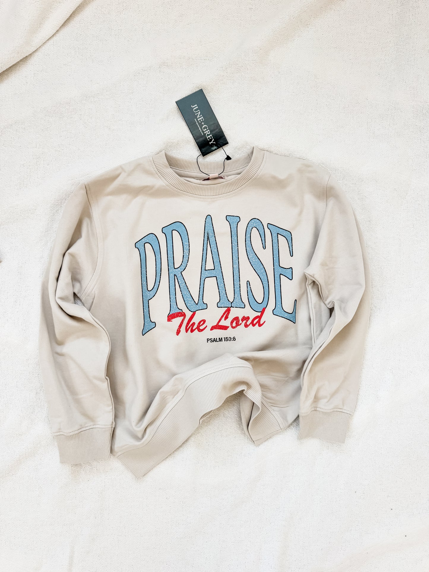 PRAISE (blue) sweatshirt