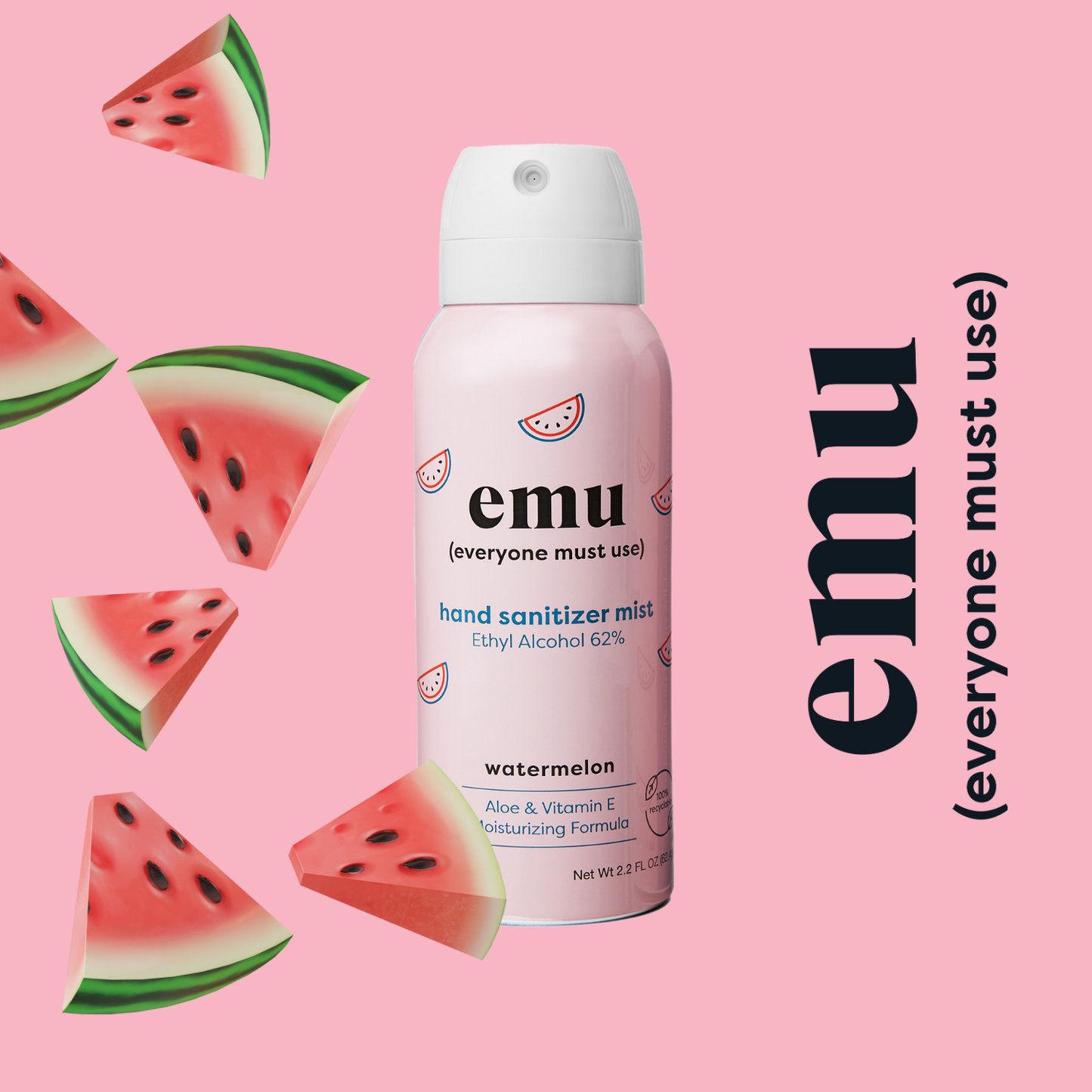 Watermelon Moisturizing Sanitizer Mist 2.2oz - 24 Pack