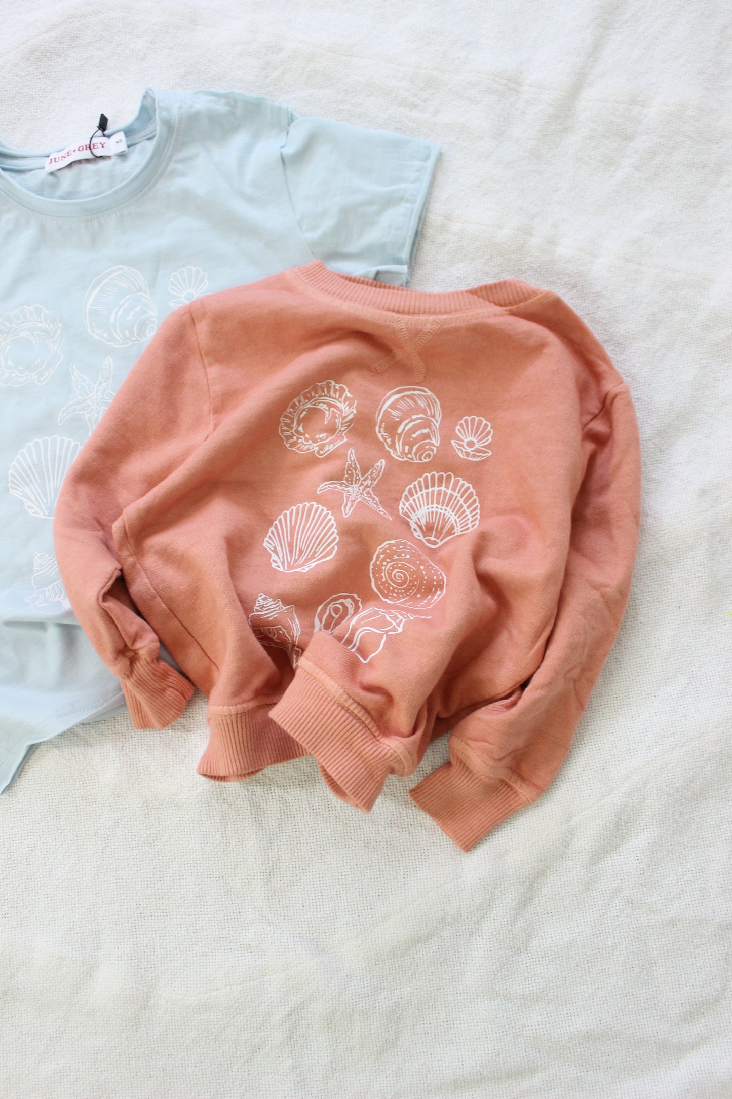 seashell sweatshirt
