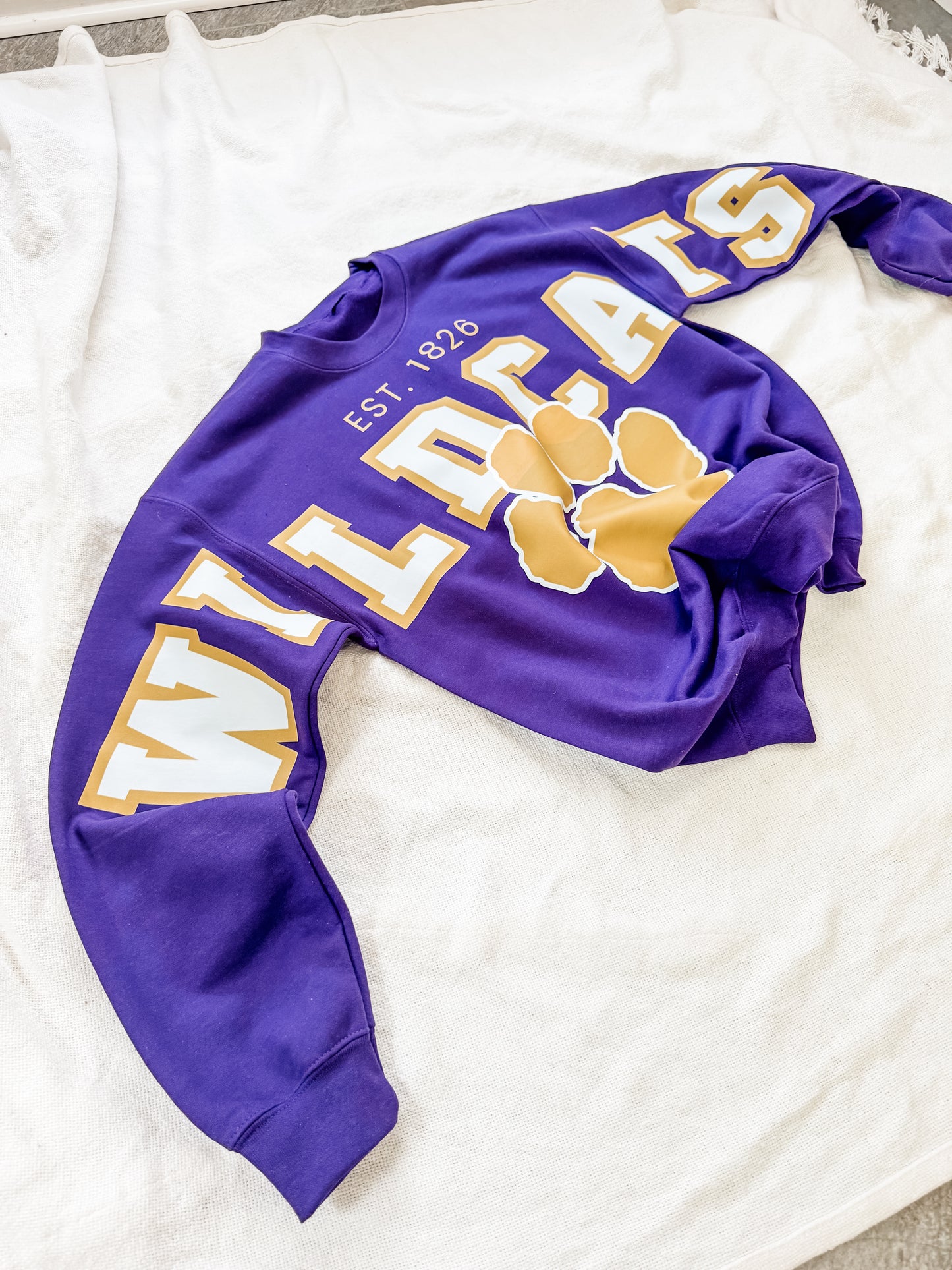 WILDCATS mascot sweatshirt