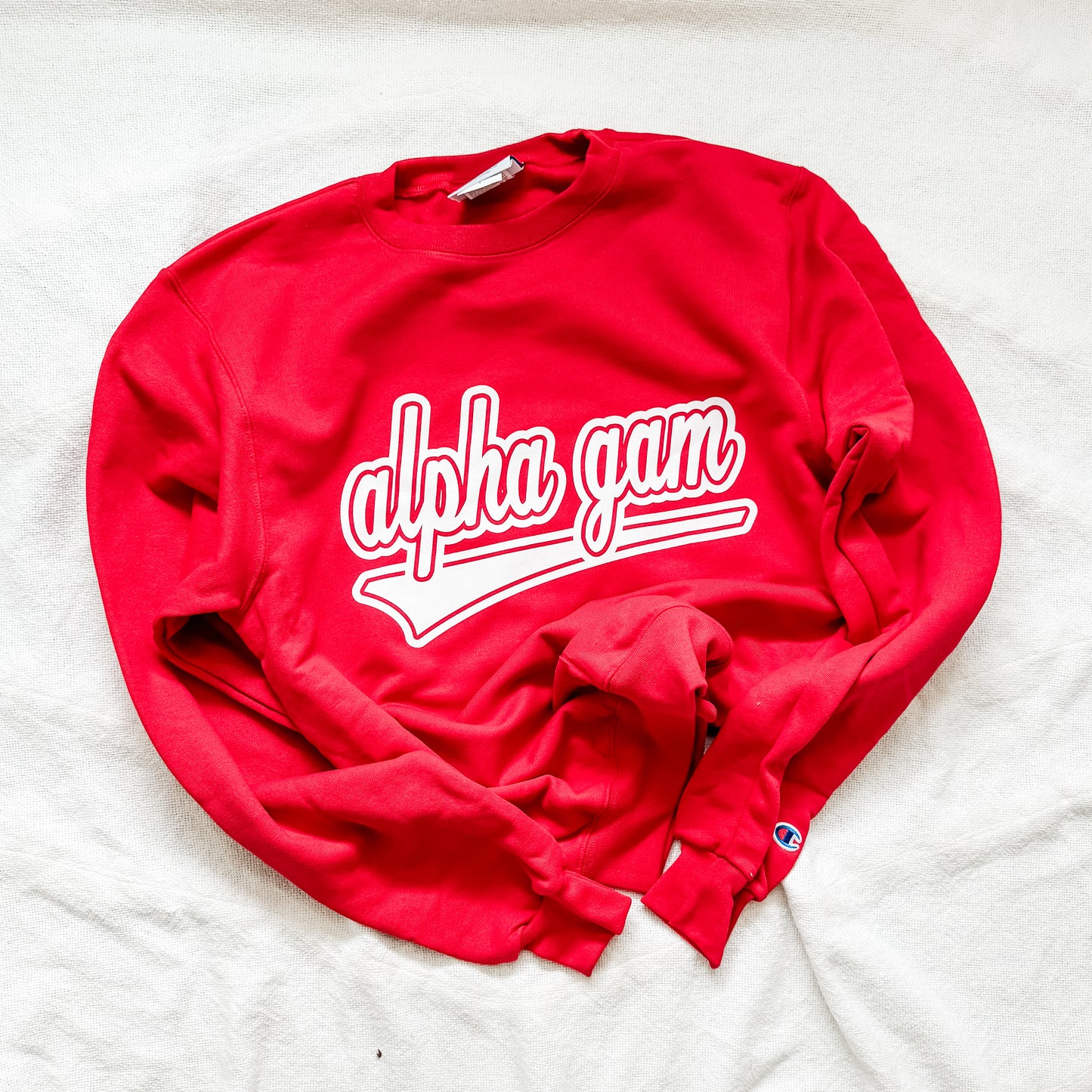 ALPHA GAM sweatshirt