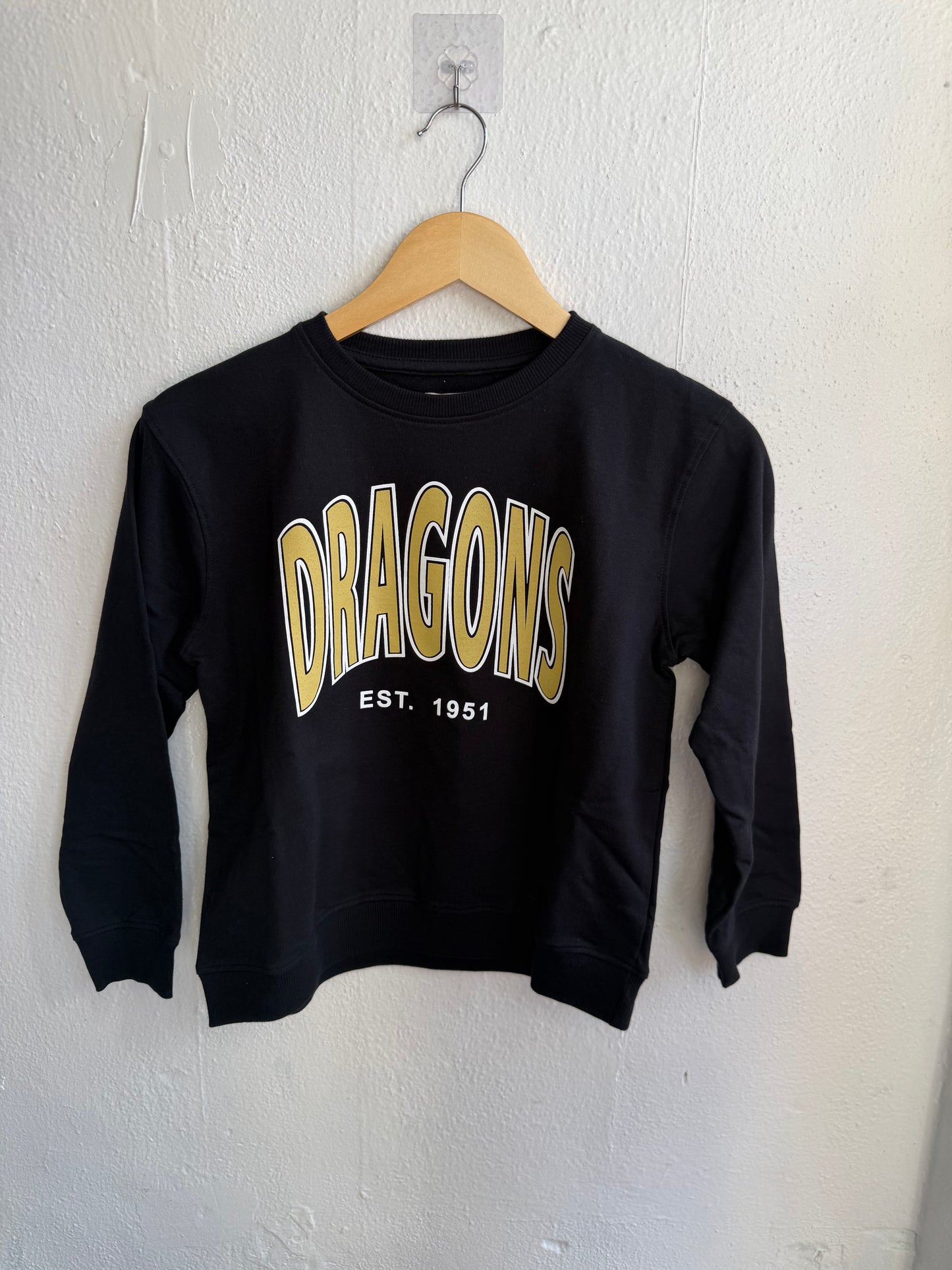DRAGONS kids sweatshirt