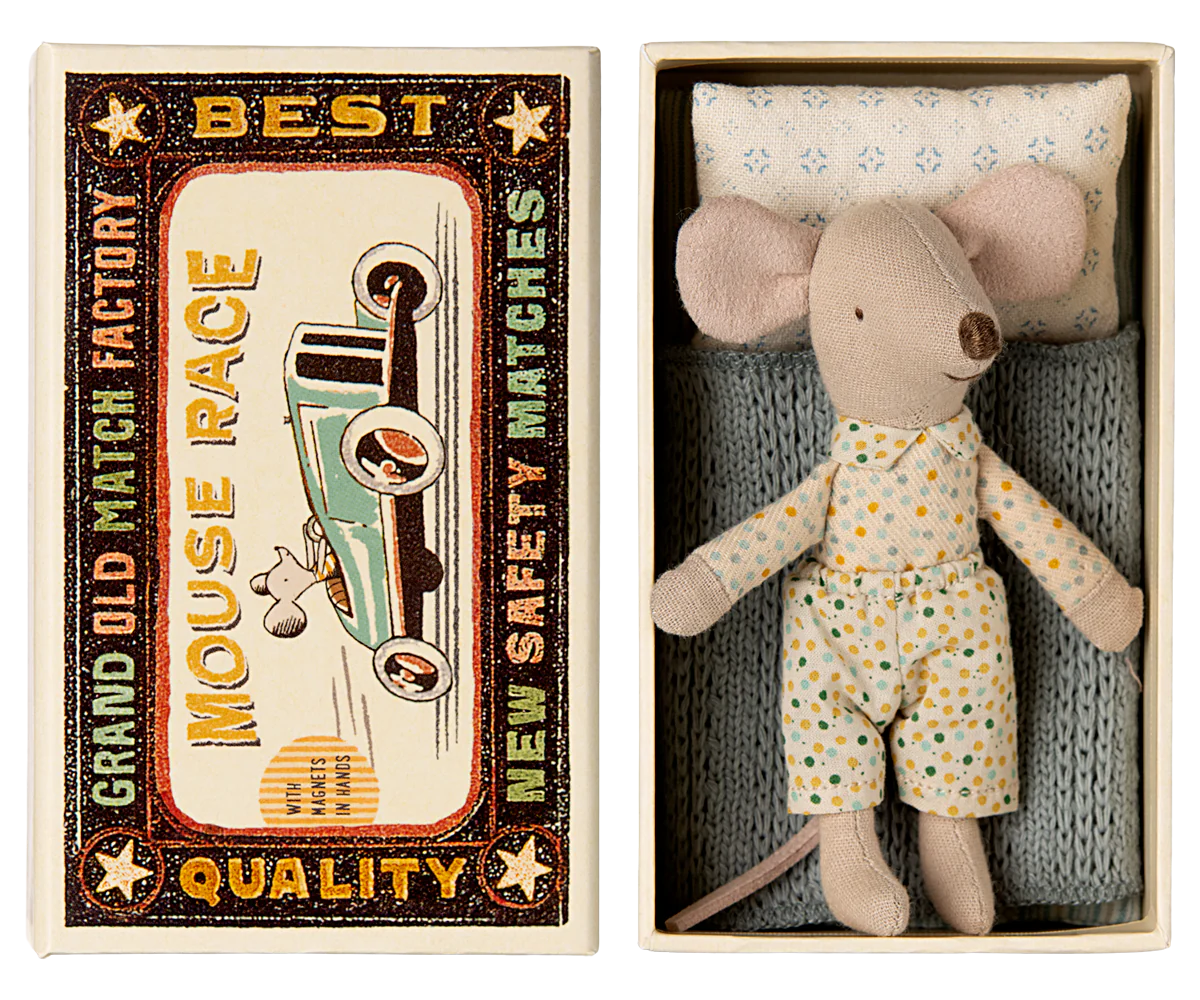 Little brother mouse in matchbox