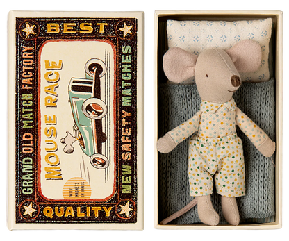 Little brother mouse in matchbox