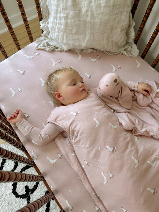 Lovey bunny