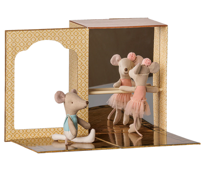 Ballet mice in dance studio, Little sister and brother