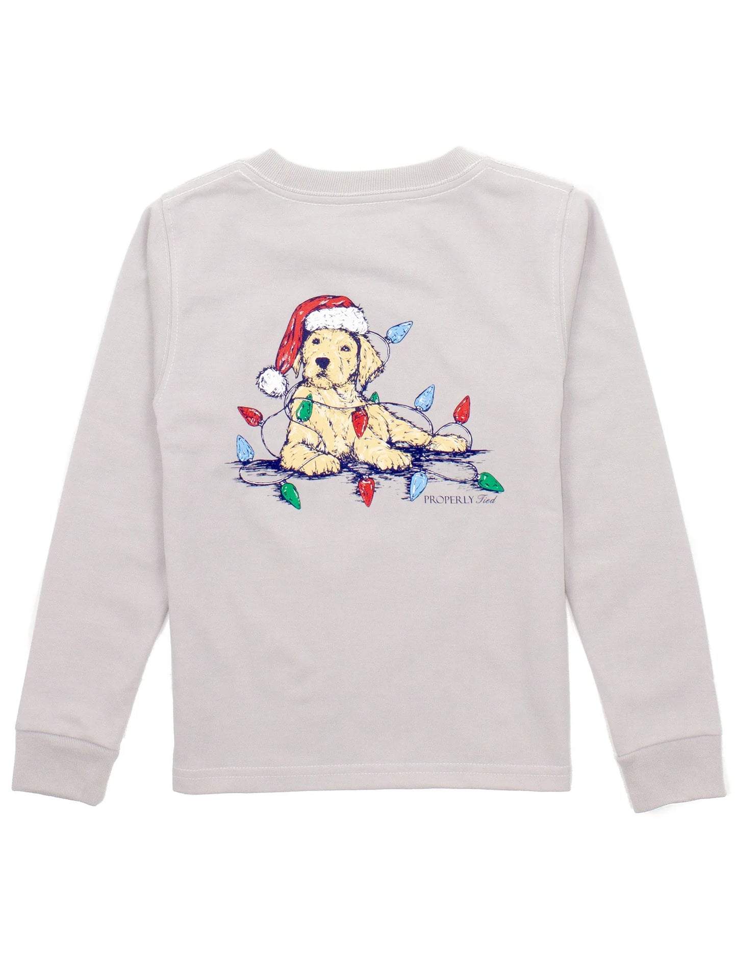 Boys Santa Paws LS Ice Grey Long Sleeve