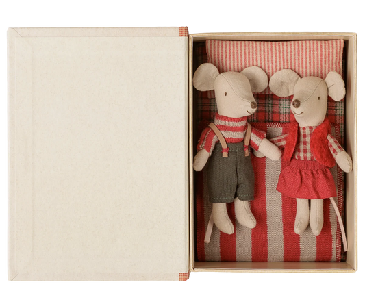 Christmas twin mice, Little sister and brother in book