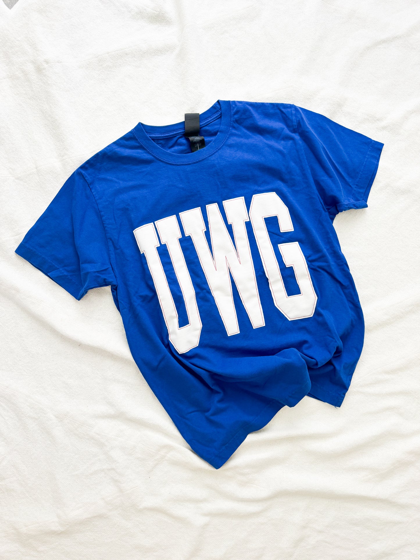 UWG EMBROIDERED TEE (BLUE)