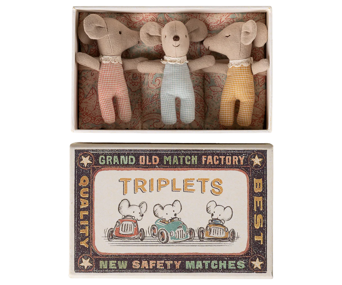 Triplets, Baby mice in matchbox