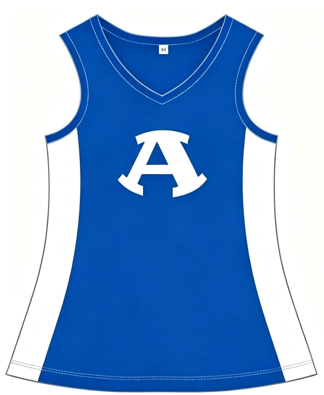ARMUCHEE cheer dress (preorder)