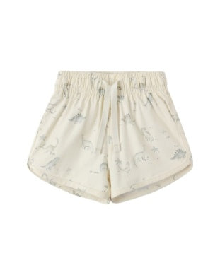 Boys Swim Short || Dinosaur