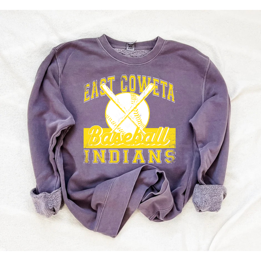 EAST COWETA BASEBALL sweatshirt