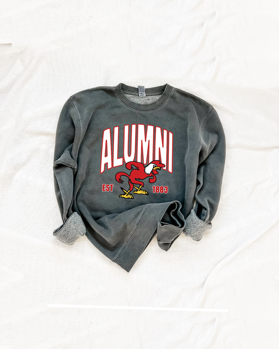 JAX STATE ALUMNI sweatshirt